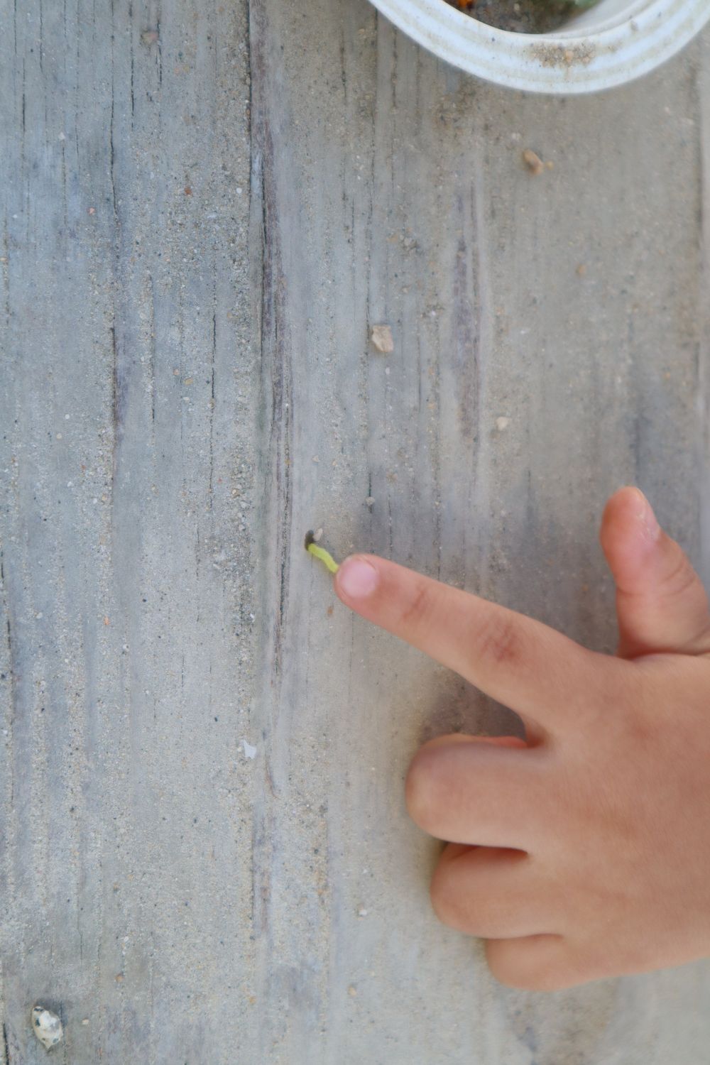 ・・・本当にちっちゃい！！！

よく見つけたね♪