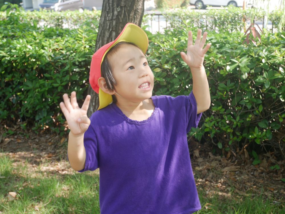 『わ～！！どんぐりもきのこもいっぱいだ♡』
♪き・き・きのこ～ぎんのあめあめふったらば～♪
秋がいっぱいの公園にHくんの気持ちも盛り上がります
