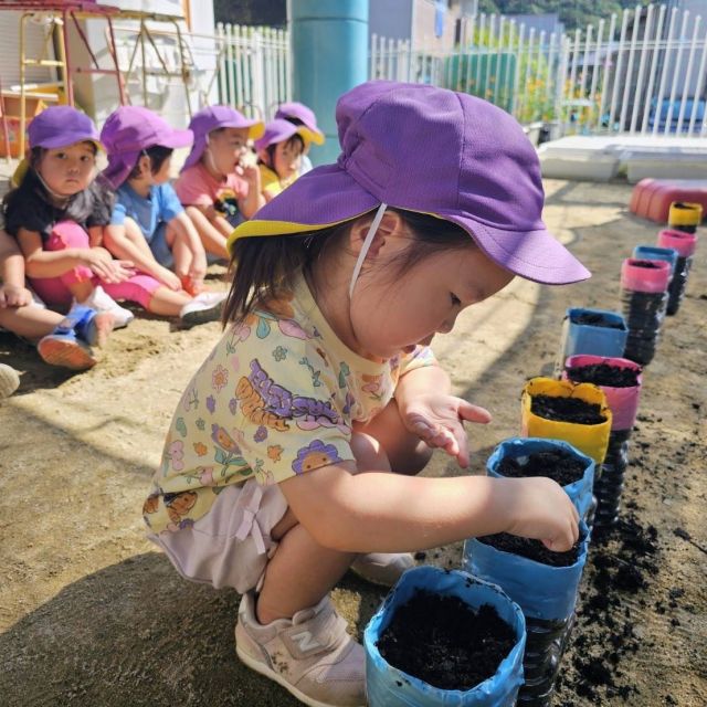 大根植えたよ  ～2歳児　クマ組～