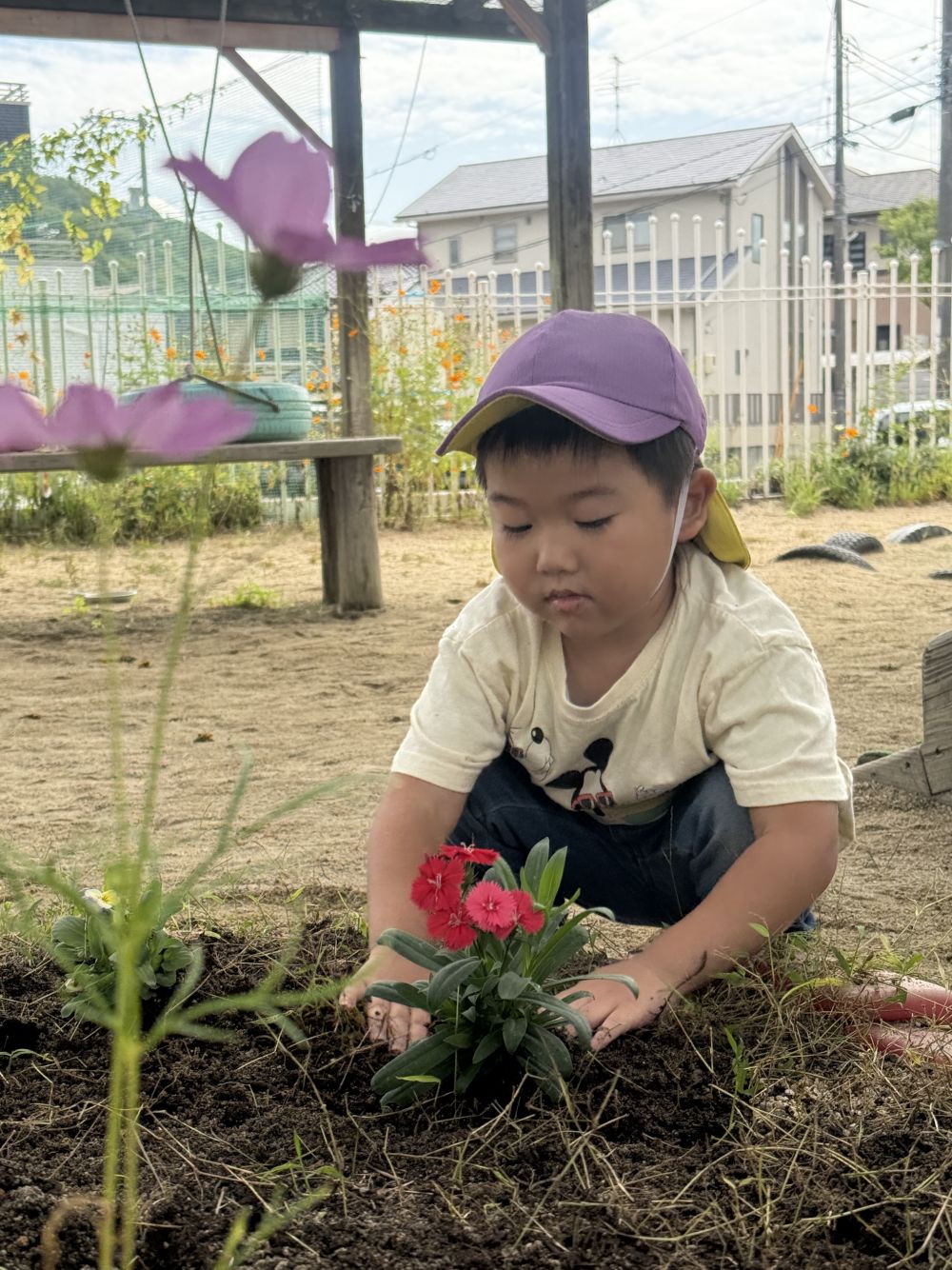 尾道市緑化推進委員会さんから
可愛い花の苗を頂きました。
好きなお花を選んで、
大切に植えました✨️