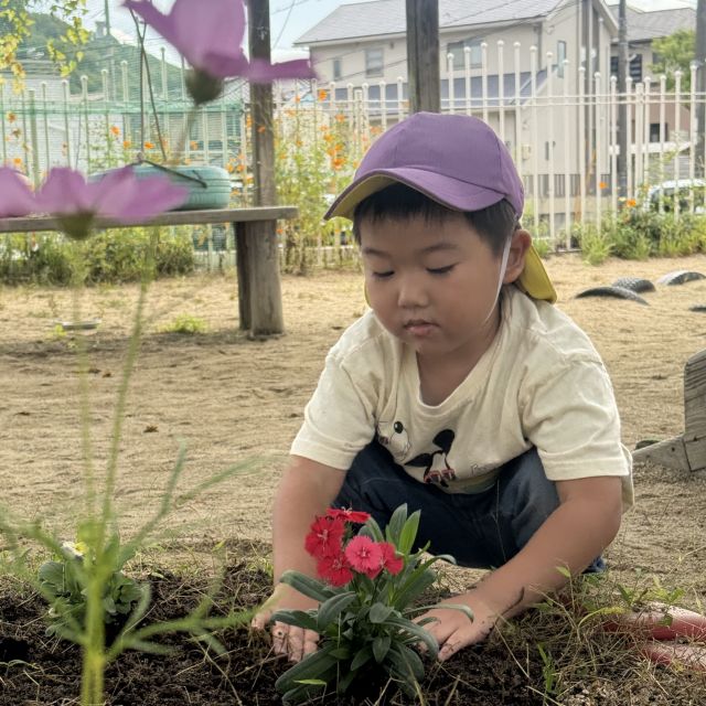 お花植えたよ🪻 ～2歳児　 クマ組～