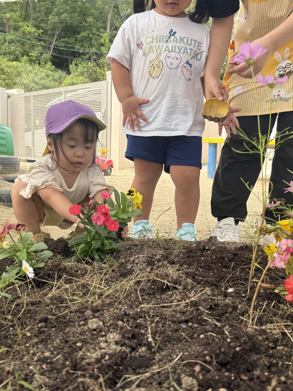土のお布団をそっとかけてあげて…