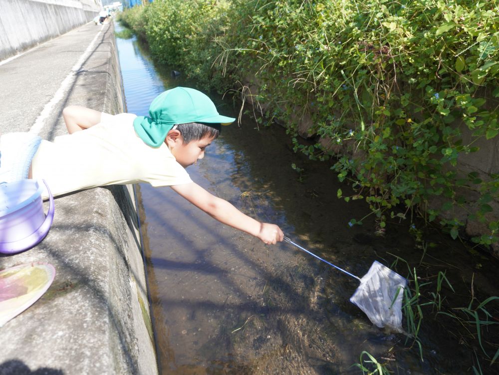 どこに隠れているのかもう知り尽くしているみんな！
そしてこの体勢ももういつもの光景♡
草の所を網でゆさゆさ～としてみると・・・