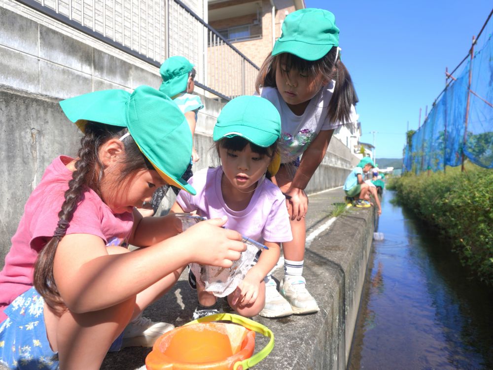 「わーーめっちゃおる！！」
「ヤゴもおるよ！」
「なんかどじょうみたいなんもおったー！」
「エビもいっぱい！」
「なんでこんなにおるんやばいーーー！」
大量にいすぎてみんな興奮が止まらない♪

今日の収穫・・・
多すぎて数えきれませんでした♡