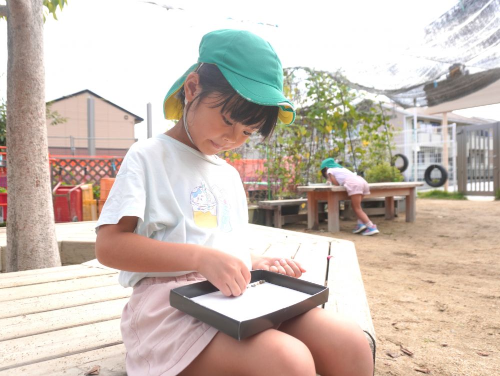 興味をもったものを大事に集め続ける…
それをどうにか活用できないか…
みんなが興味のあることを見たり広げたりできるよう
考えて…　調べて…　先生も頭をフル回転させます！



園庭に落ちているツルツルの石に興味をもち
マイボックスに集める遊びが春から続いていました！
「ツルツルの石いっぱいになった～」
「箱に並べてみる…？」
箱に両面テープを貼りその上に石を置いて…
１つの作品ができました♡