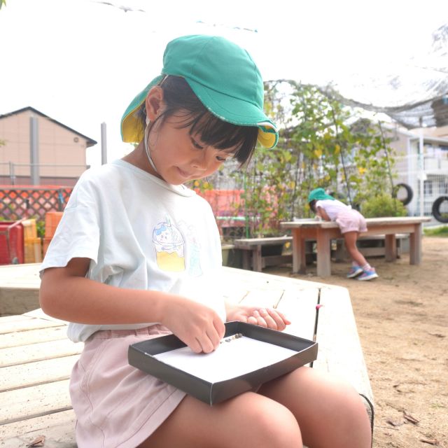 ＊　5歳児　園庭に宝物が…①　＊