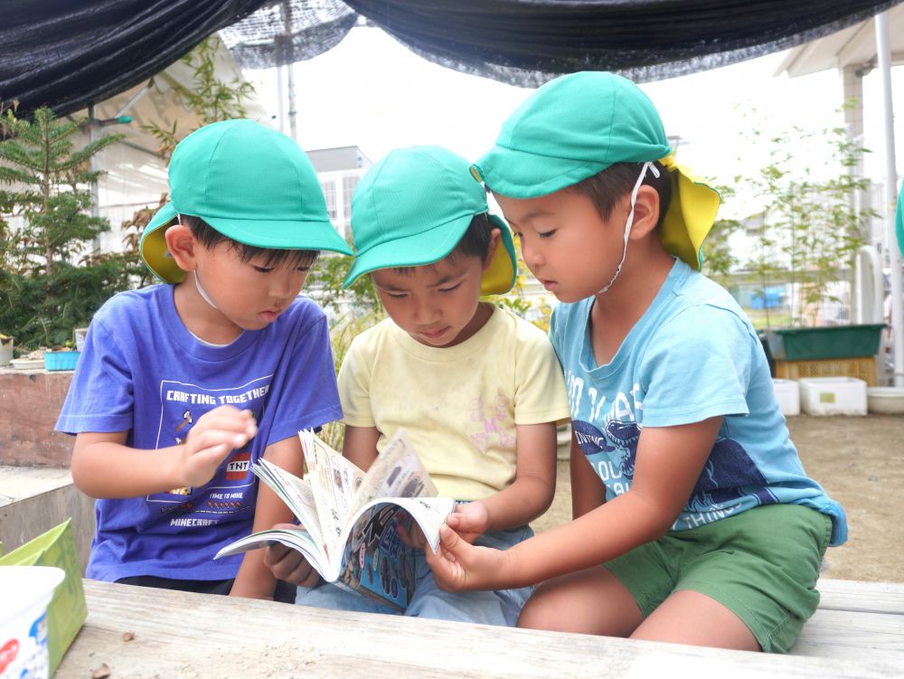 「石いっぱいだけど形も色もちがうね」
「これはなんの石？」
「なんかゴツゴツしとる！」
「なんで赤い色の石もあるの？」

気になったことや疑問に思ったことを自分達で調べられるよう
図鑑や本を用意しました♡
