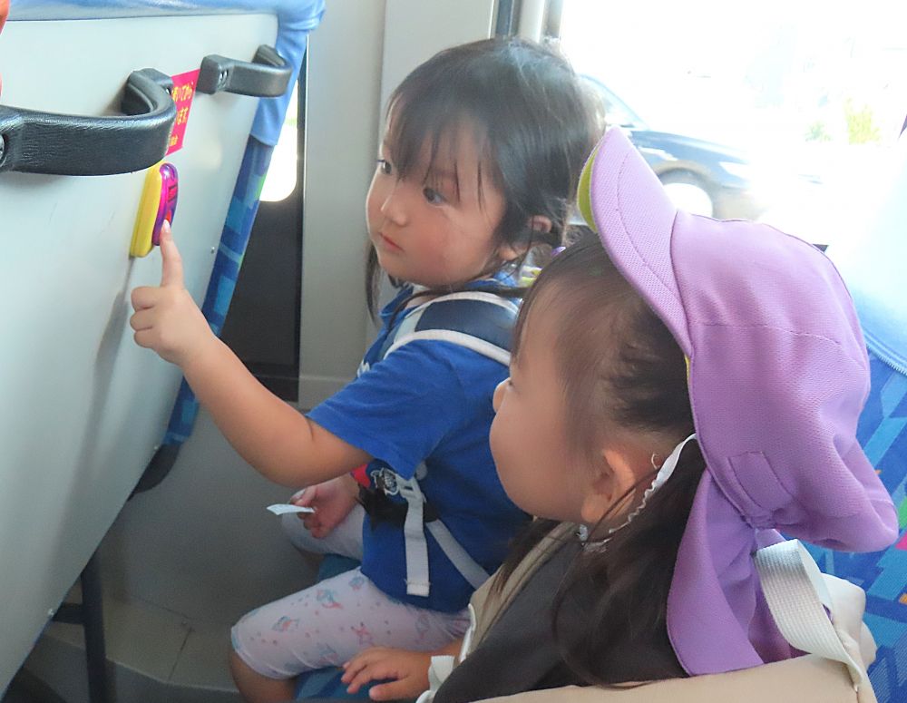 🚌つぎは浄土寺下~
「ピンポーン、次降ります😊」