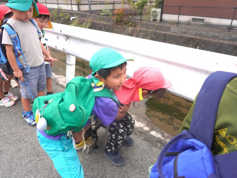 帰り道・・・
何をしていると思いますか?!
車が通った時は動きを止めて…
リス組さんを守っています♡