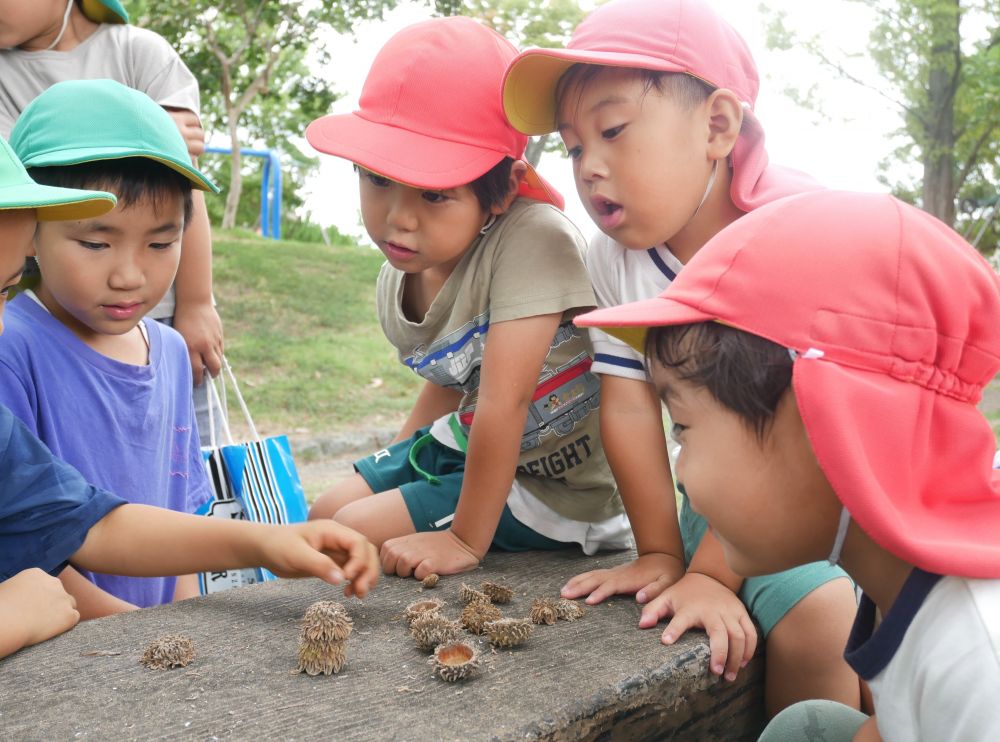 どんぐり帽子を積み上げタワーのようにしているキリン組さん
その様子をじーっと観察するリス組さん・・・
『すごいね~・・・やってみたいな~!!』
見て学ぶ・・・とても大事なことですね♡