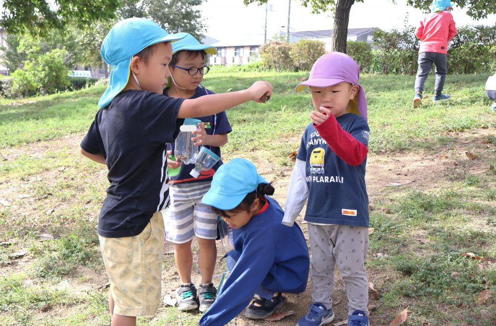 秋風の心地よさを感じながら
クマ組さん、ゾウ組さんで東尾道公園へ!
「どんぐりあった~!!」
「これとおんなじじゃない?」
見つけた喜びを伝えるRくんと
どんぐりを見比べて一緒に観察するSくん