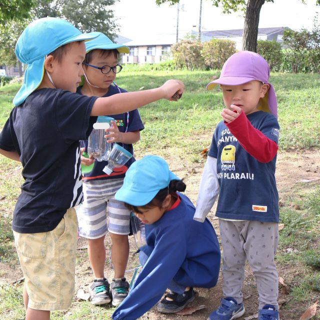 ＊　２・４歳児　秋探し　＊
