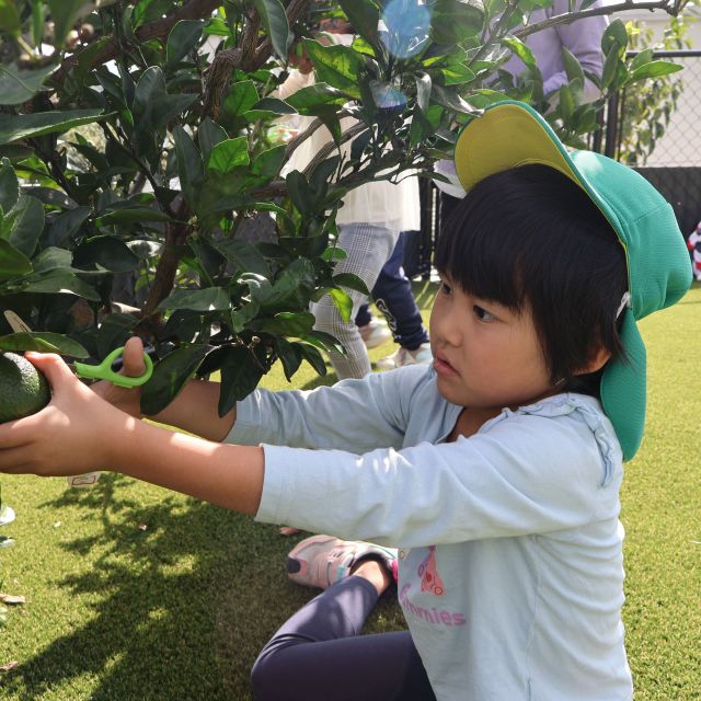 芝生広場🍋　＊５歳児＊