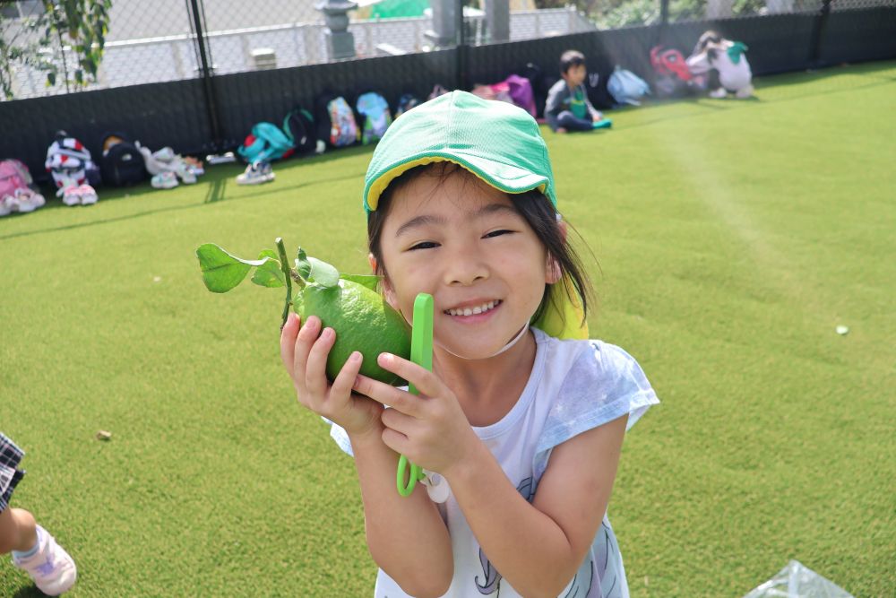 大きなレモンを収穫♡

「うわ～！レモンみたいな匂い！」
と収穫したレモンをクンクン！

