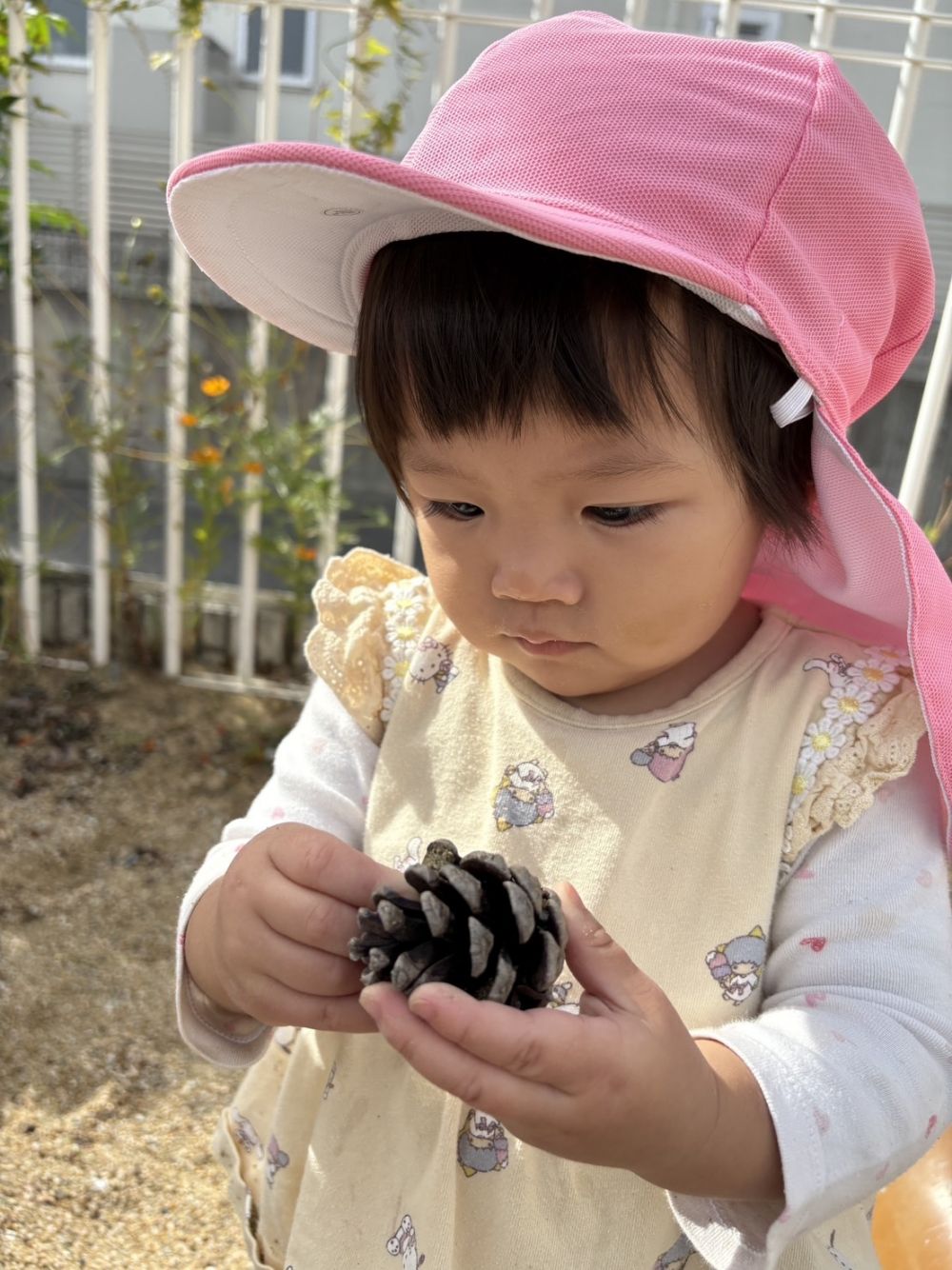 まつぼっくりを見つけたＮちゃん～
なんだか真剣な表情
この後、まつぼっくりの歌を歌うと
体をフリフリ♪♪

