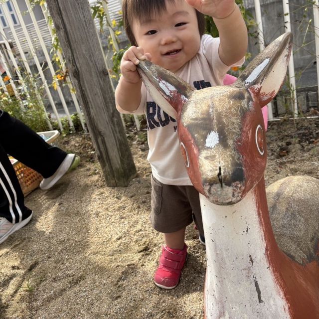 外遊び　～0歳児　ウサギ組～