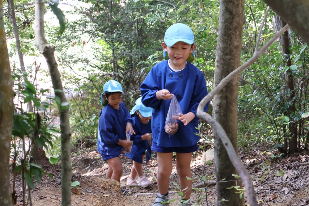 自然豊かな森林公園☘️♪



上にはどんぐりがたくさん！
風が吹くとコロコロと落ちてきます

どんぐりが落ちてくるたびに
笑顔が溢れる子どもたち🎶
袋にいっぱいにどんぐり集めをする
ゾウ組さんでした✨
