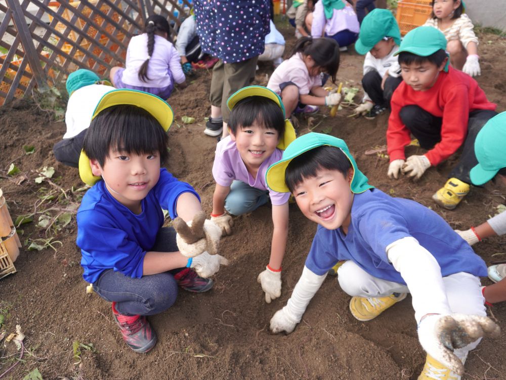 「さといもあった！」
「違うよさつまいもだよ！」
「小さすぎるけど食べれるかな？」
「大きいのと小さいのがあるね～」

芋の名前を再確認したり
大きさの違いに気付いたり
しながら芋掘りを楽しみました♡