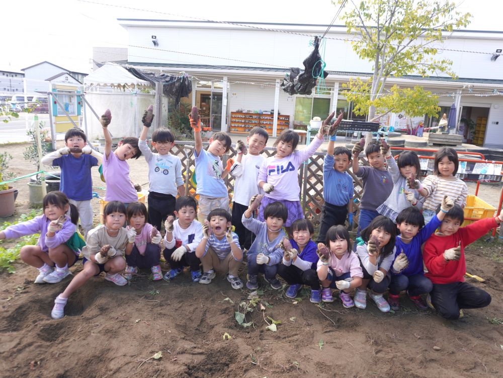 「おいも取ったぞーーーーーー！！」
「おいもご飯が楽しみーーーー♪」

芋を使ったクッキング…
芋のつるや葉っぱを使った遊び…
今後の楽しみがまた増えました♡