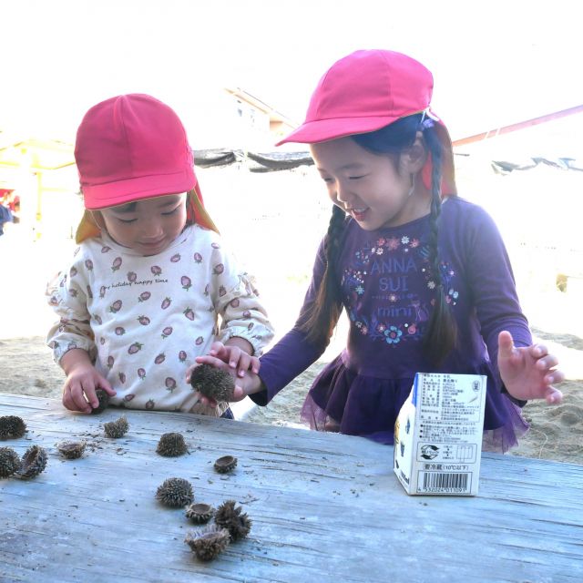 ＊　3歳児　自然物で遊ぶ　＊