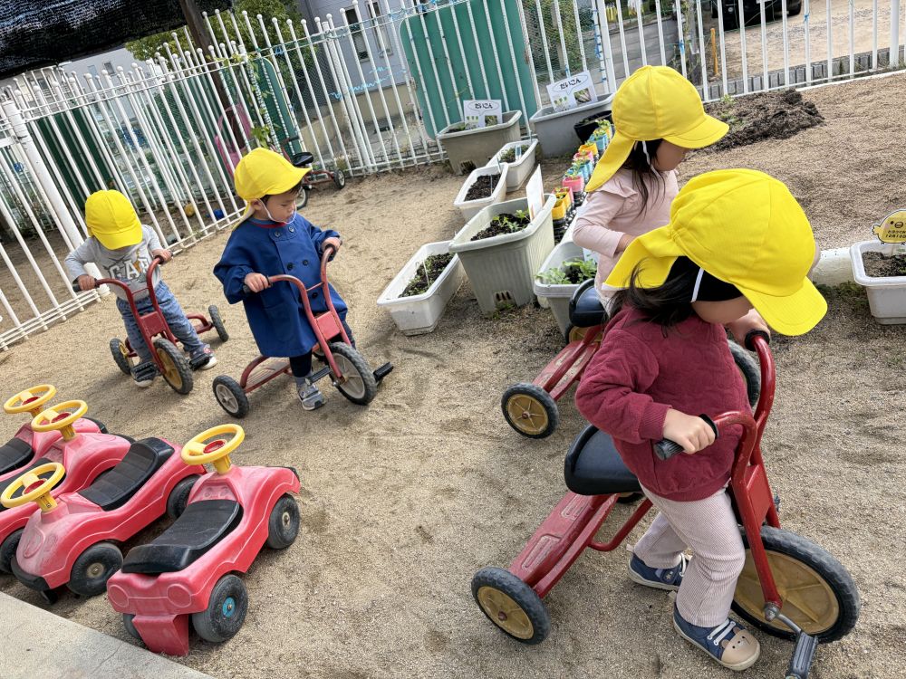 最近ヒヨコ組さんで人気の三輪車！！

靴を履くとすぐに三輪車置き場まで・・・
三輪車にのって出発！！