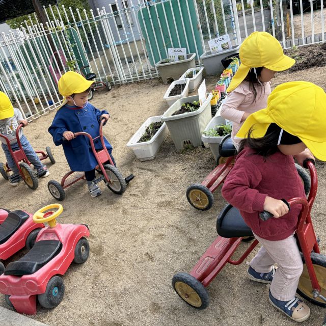 三輪車　～1歳児　ヒヨコ組～