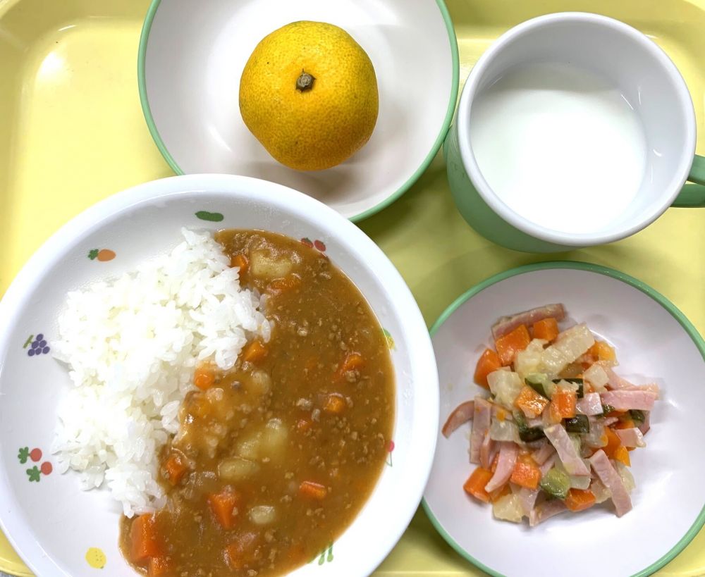 キーマカレー

チョップ・ド・サラダ

みかん

牛乳