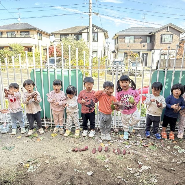 おいもほり② 　～2歳児　クマ組～