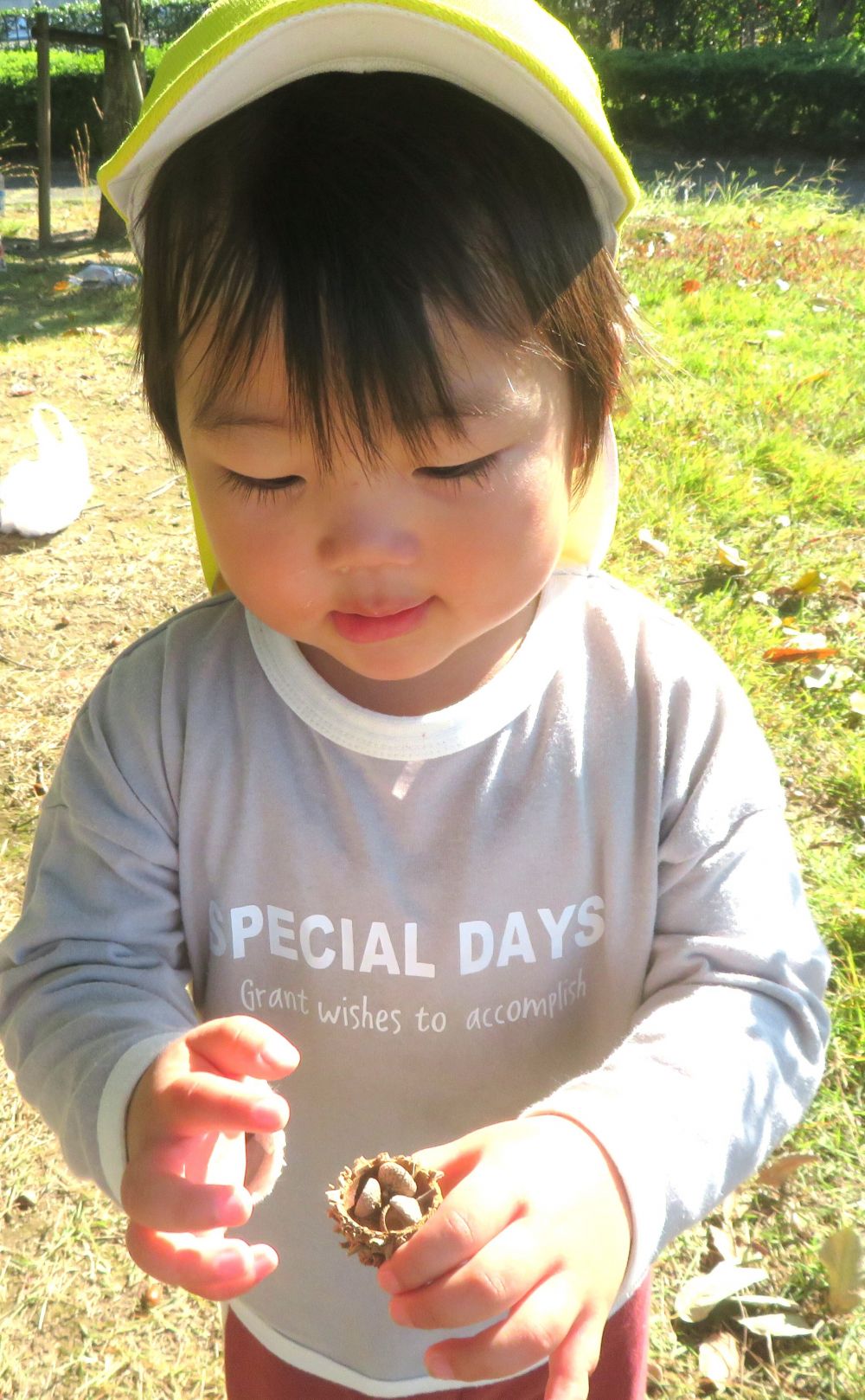 「アイスです、どうぞ」
大きなドングリボウシの中に小さなボウシを入れて
アイスに見立てるS君