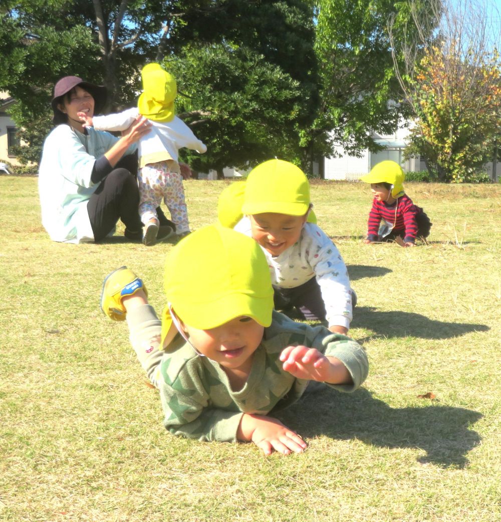 大きな芝生の広場で思い切り走ったり
コロコロ寝転がったり
全身を使って楽しむヒヨコ組さん

友達と顔を見合わせ笑い合う姿がありました♡




