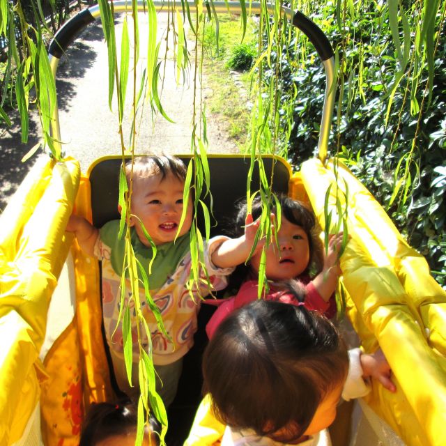 ＊　０歳児　お散歩楽しいな　＊