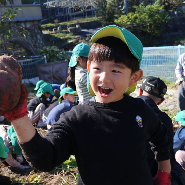 さつまいも収穫②　＊５歳児＊