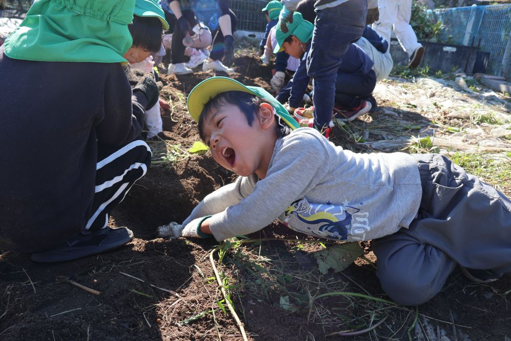 「おりゃーーーー！」
とたくましい声のEくん

なかなか出てこないさつまいもに
パワーを送っているようです♡
