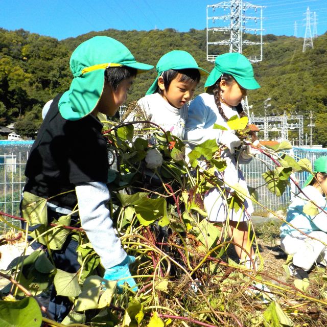 ＊　給食時間の様子　（門田認定こども園）　＊