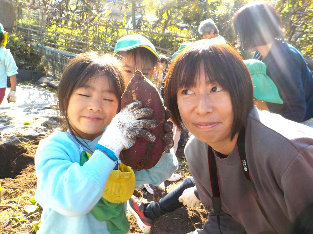 今年のさつまいもは立派なお芋でなかなか掘っても掘っても抜けません・・・

「手伝ってーーー」
「やっぱり先生は手伝わんでいいよ、もう少し自分でやってみるーー」
「じゃあおれが手伝うよ‼」
などなど、友達と協力姿がいろんな場面で見ることが出来ました。

「先生の顔より大きいお芋見つける！！」
張り切って掘っていたIちゃん、見事に工藤先生の顔より大きいさつまいもを収穫しました！！
