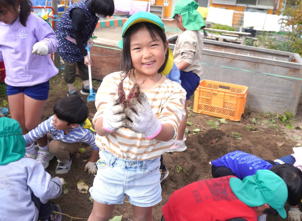 今年は小ぶりな芋が多く、土の中から見つけるのも一苦労・・・。
それでも指の力を使って掘り進め、頑張って収穫してくれました。

“おいしいさつまいもおにぎりを作って食べる！”という楽しみに向けて、食材をひとつゲット☆