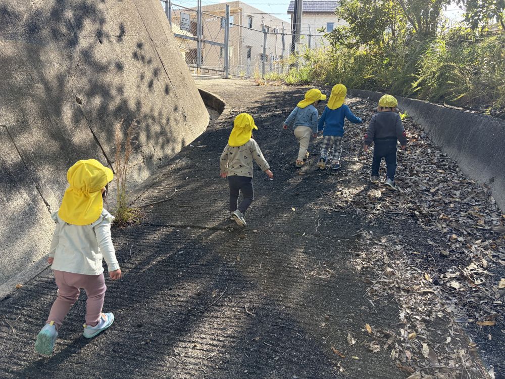 ヒヨコ組になって初めての散歩！！
近くの山まで、
みんなで手を繋いで行ったよ。

坂道だってしっかり登っていましたよ。