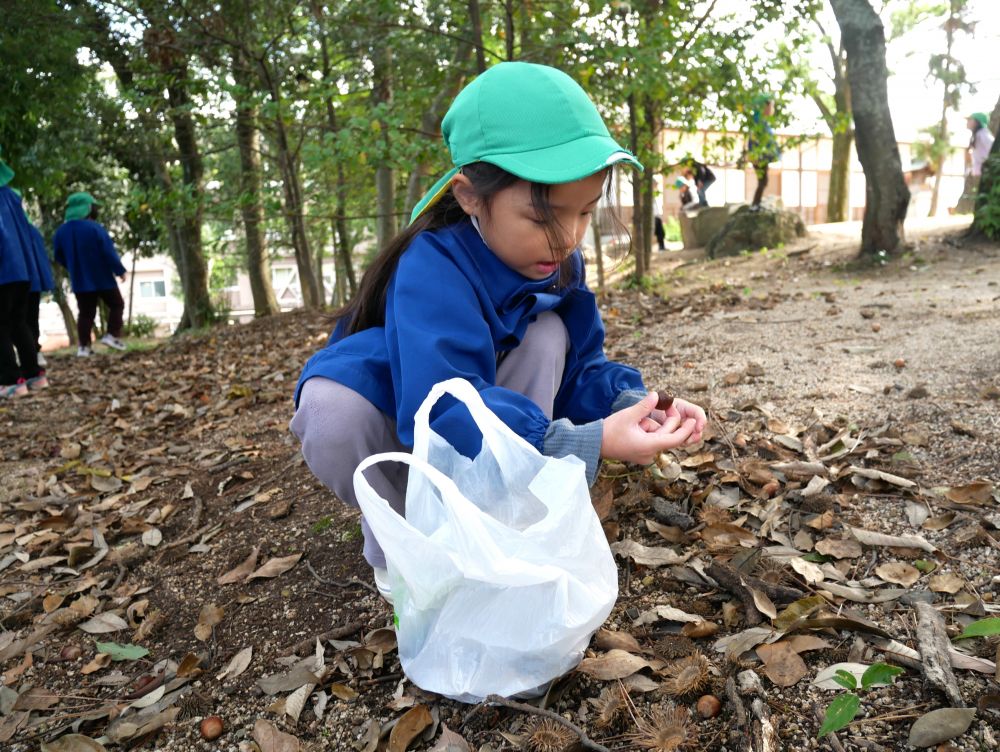 神社や遠足で拾ったどんぐりを使って
様々な遊びを楽しむキリン組さん

「これ大きい！！」
「緑のどんぐりもあるよ」
「どんぐり虫おる！！」
