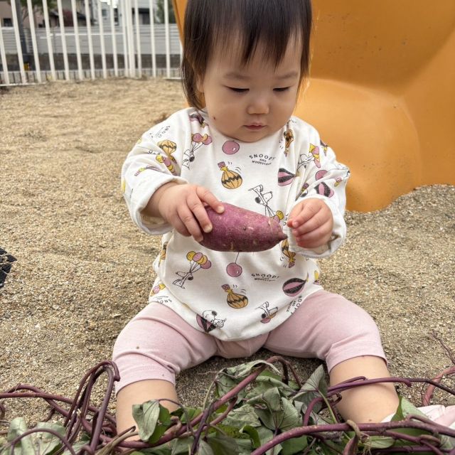 小さな秋、み～つけた♡　②　～0歳児　ウサギ組～　