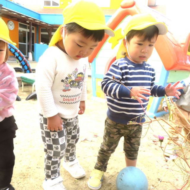 ＊　1歳児　カマキリとヒヨコ組　＊