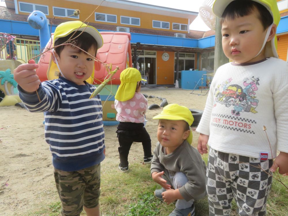 「怖い」「おもしろい」「大きい」「触りたい」
それぞれが色々な思いを口にしながら
カマキリの観察を楽しんでいます♪