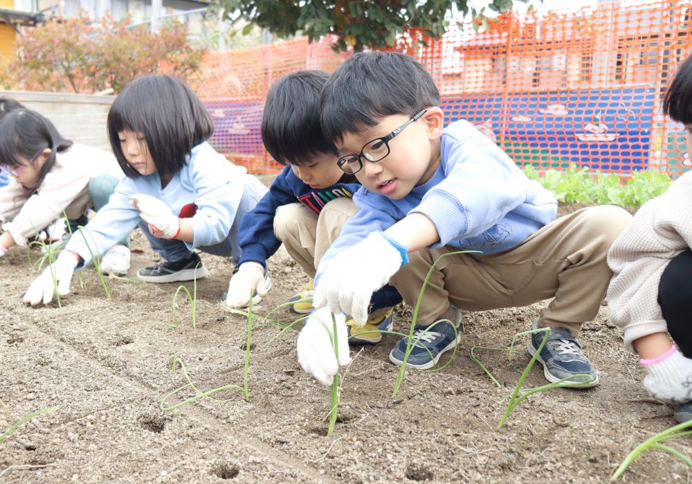 　「すぐに倒れちゃうな～」
　「こっちで持って、こっちで砂をかけて…」
右手と左手を上手く使いながら
倒れないように優しく土をかけてみる！