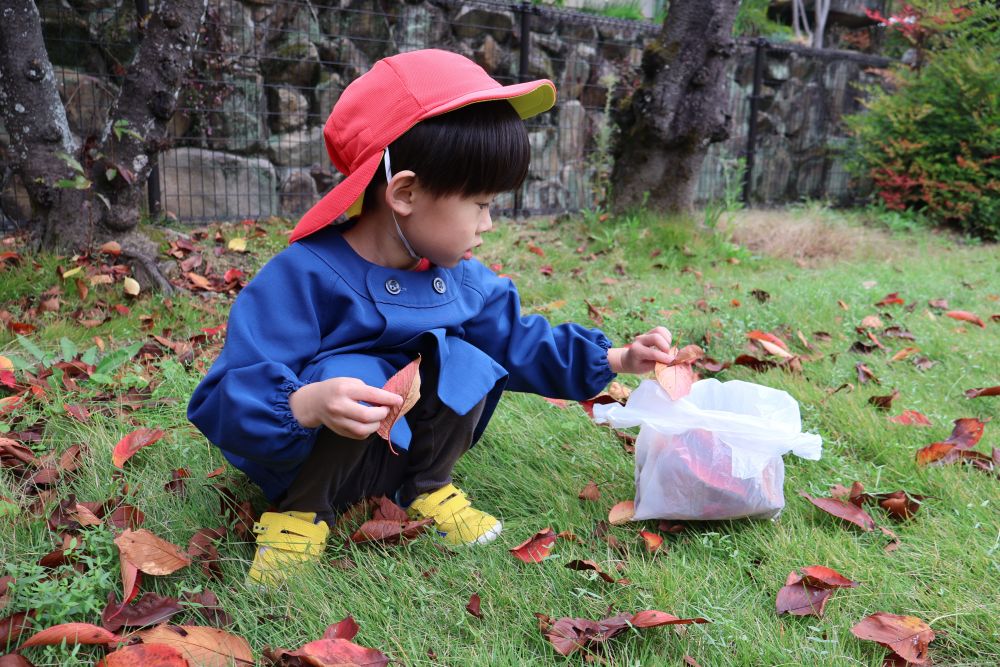 
葉っぱを使った遊びを楽しむ姿が増えたリス組さん。
今日は製作遊びに使う落ち葉を拾いに、西則末公園までお散歩♪

神社の落ち葉とはまた違う、色鮮やかな落ち葉🍂
「あかあったね～！」
「きいろみつけたよ！」

袋もいっぱいになるぐらい集めましたよ！