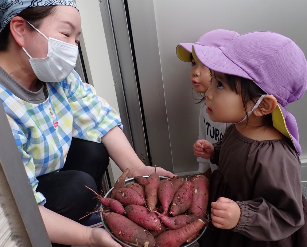 収穫したサツマイモを、給食室までお届け🍠
「お汁に入れるね😊
　いっぱい食べてね！」