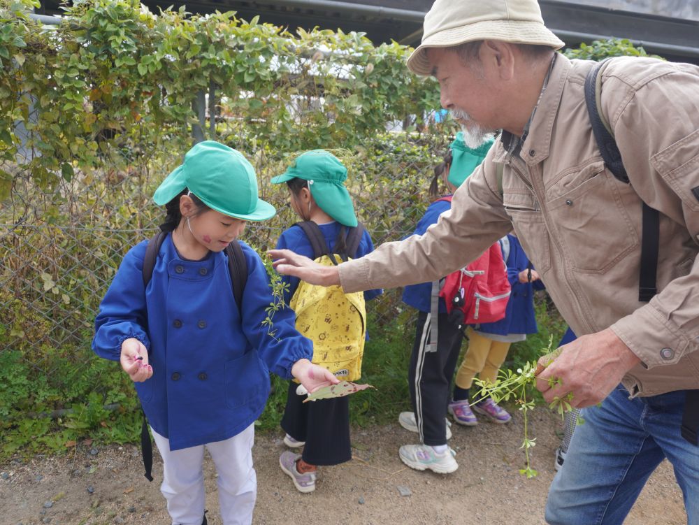 いつもは気にせず歩いている道ですが…
魅力がいっぱいで子どもの興味をそそるものや発想を豊かにするものがたくさん！！
少し立ち止まって子どもたちとの会話を大切に・・・♡



「あっ葉っぱがひっついたよ！」
「えーすごいなんで！？」
「ひっつきもっつきじゃないのにー！」
「くま先生の魔法かな？」