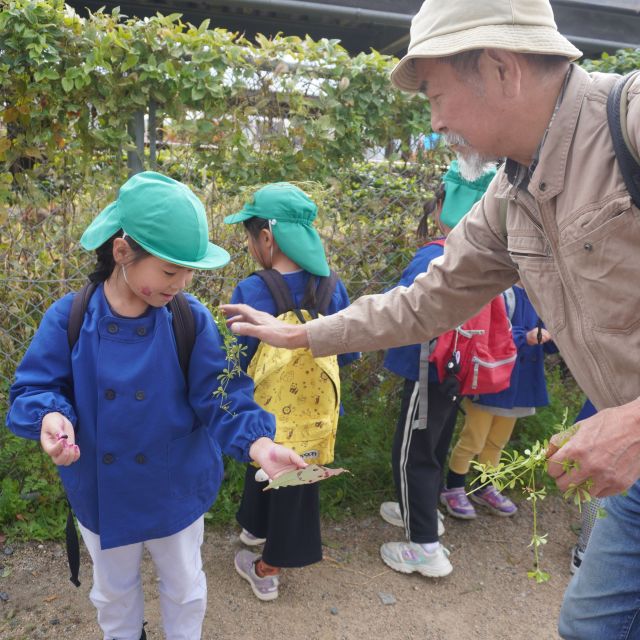 ＊　5歳児　自然散歩②　＊