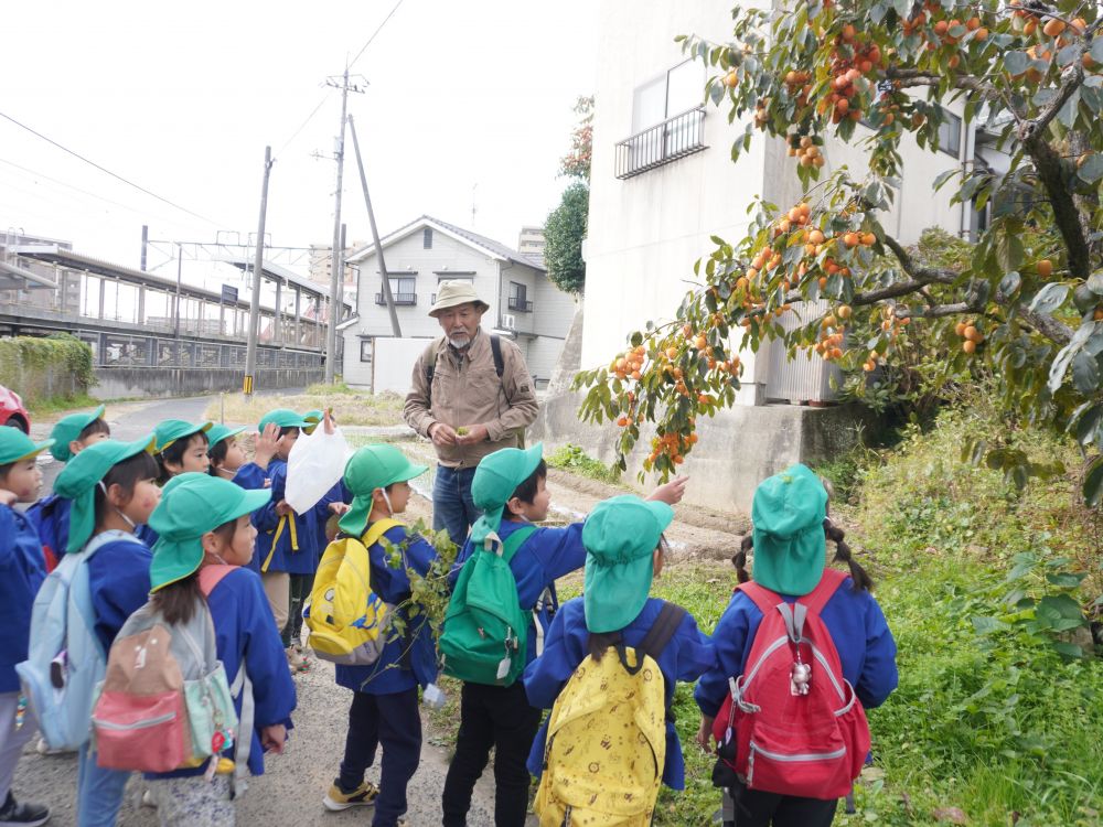 「これは何ー？柿かな？」
「マンゴーかもよ！？」
「びわじゃない？」
クイズのように楽しくワイワイしながら・・・
すこーーしずつ神社を目指して進みます♡