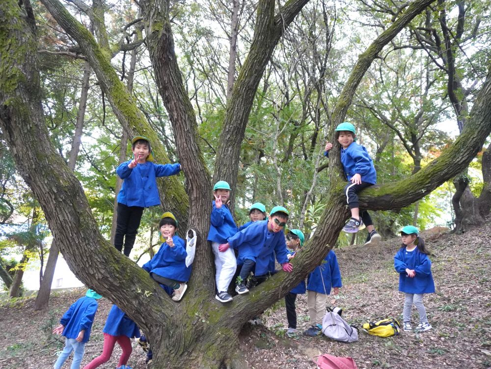 今の時代…木登りなんてできる機会なかなかないですよね…
子どもたちにとって楽しく貴重な経験ができたと思います♡
