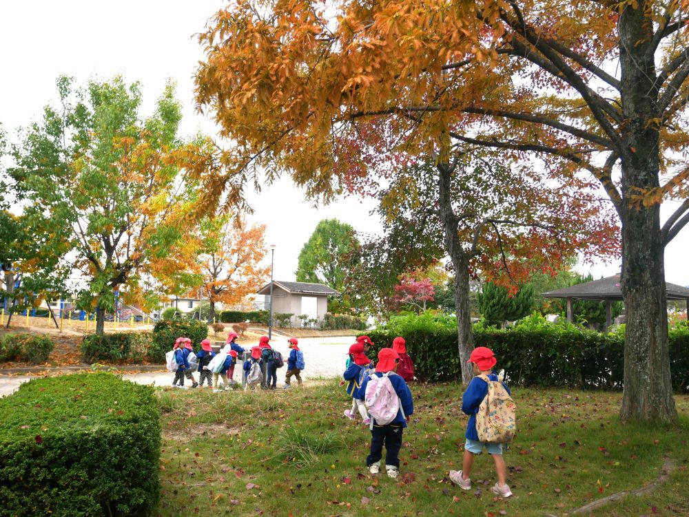 公園の中にある自然物に興味を示したり
発見した物をを使って遊ぶことを楽しんできました



葉っぱも色付き東尾道公園の紅葉にうっとり♡
『こっちにもどんぐりある～！！』
『この葉っぱめっちゃ可愛い！！』
様々な自然物を発見し自分だけのお気に入りを
集めて廻る子どもたち♡



