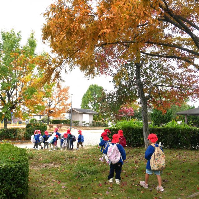 ＊　3歳児　秋を満喫①　＊
